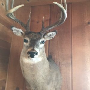 Meet your Posher, Roger